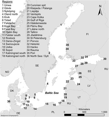 Marine Litter Pollution in Baltic Sea Beaches – Application of the Sand Rake Method